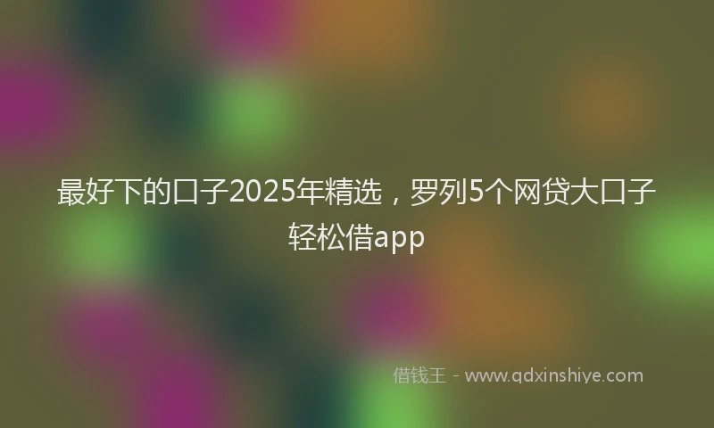 最好下的口子2025年精选，罗列5个网贷大口子轻松借app