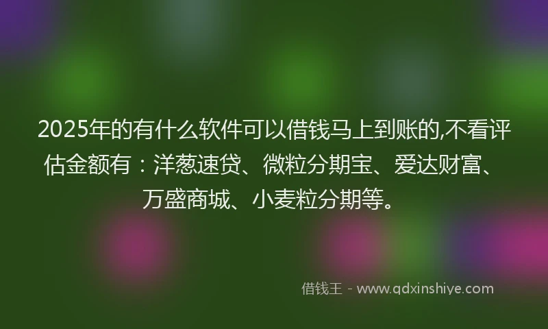 2025年的有什么软件可以借钱马上到账的,不看评估金额有：洋葱速贷、微粒分期宝、爱达财富、万盛商城、小麦粒分期等。