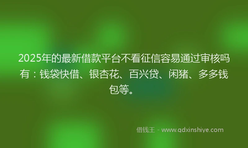 2025年的最新借款平台不看征信容易通过审核吗有：钱袋快借、银杏花、百兴贷、闲猪、多多钱包等。