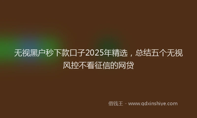 无视黑户秒下款口子2025年精选，总结五个无视风控不看征信的网贷