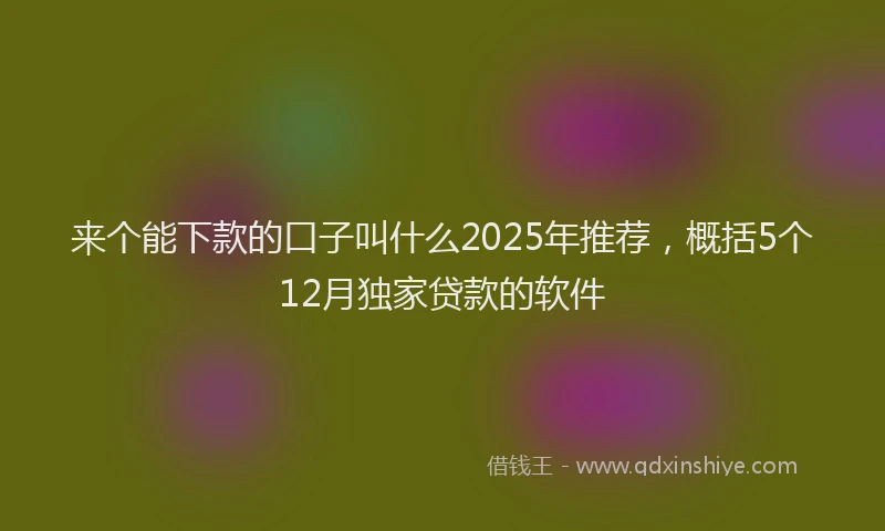 来个能下款的口子叫什么2025年推荐，概括5个12月独家贷款的软件
