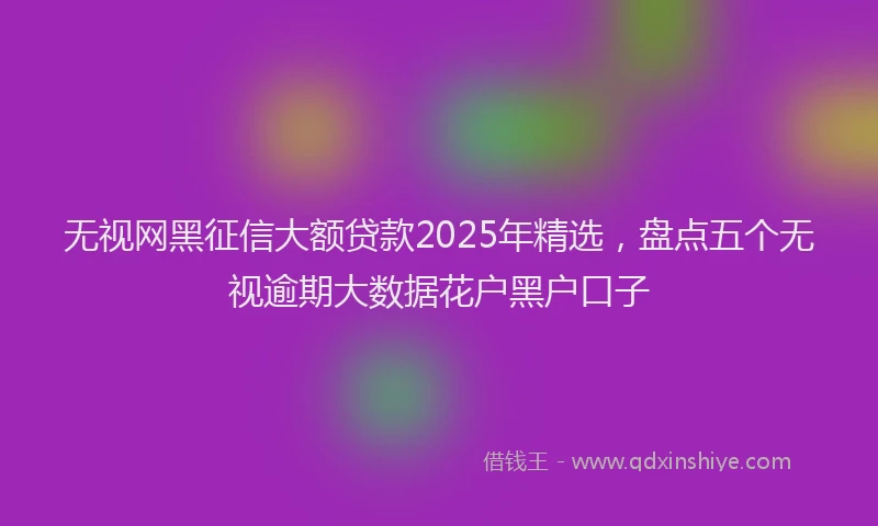 无视网黑征信大额贷款2025年精选，盘点五个无视逾期大数据花户黑户口子