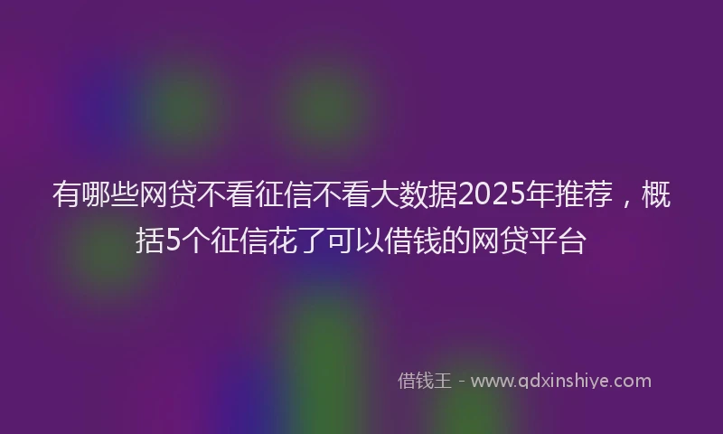 有哪些网贷不看征信不看大数据2025年推荐，概括5个征信花了可以借钱的网贷平台