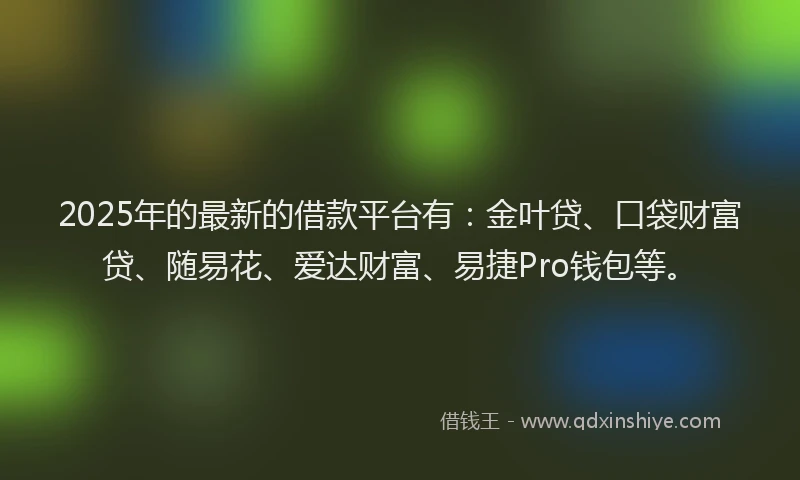 2025年的最新的借款平台有：金叶贷、口袋财富贷、随易花、爱达财富、易捷Pro钱包等。