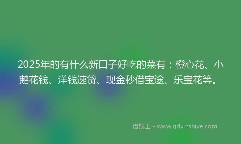 2025年的有什么新口子好吃的菜有：橙心花、小鹅花钱、洋钱速贷、现金秒借宝途、乐宝花等。