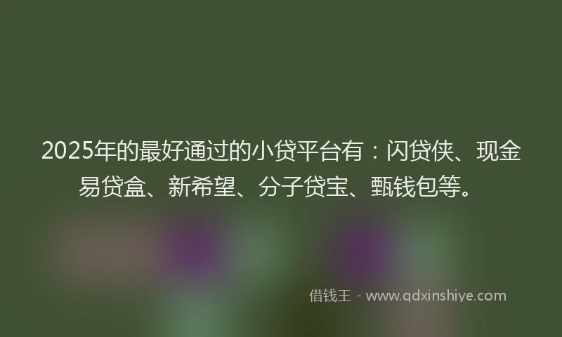 2025年的最好通过的小贷平台有:闪贷侠、现金易贷盒、新希望、分子贷宝、甄钱包等。