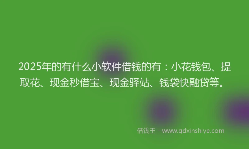 2025年的有什么小软件借钱的有：小花钱包、提取花、现金秒借宝、现金驿站、钱袋快融贷等。