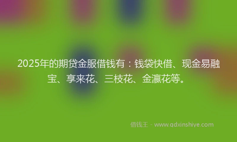 2025年的期贷金服借钱有：钱袋快借、现金易融宝、享来花、三枝花、金瀛花等。