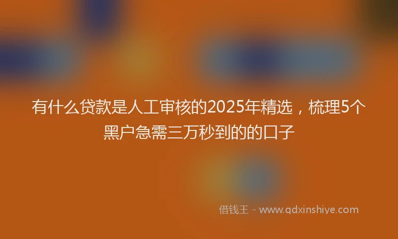 有什么贷款是人工审核的2025年精选，梳理5个黑户急需三万秒到的的口子