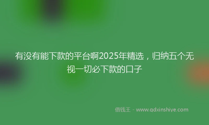 有没有能下款的平台啊2025年精选，归纳五个无视一切必下款的口子