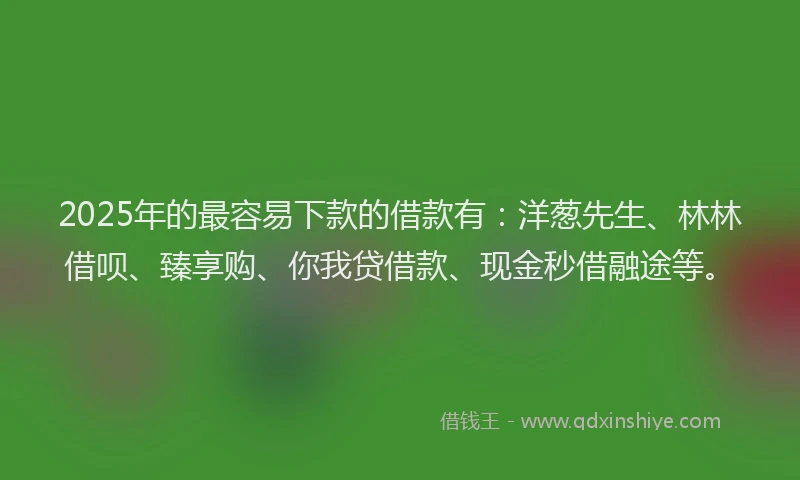2025年的最容易下款的借款有：洋葱先生、林林借呗、臻享购、你我贷借款、现金秒借融途等。