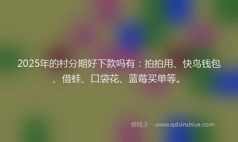 2025年的村分期好下款吗有：拍拍用、快鸟钱包、借蛙、口袋花、蓝莓买单等。