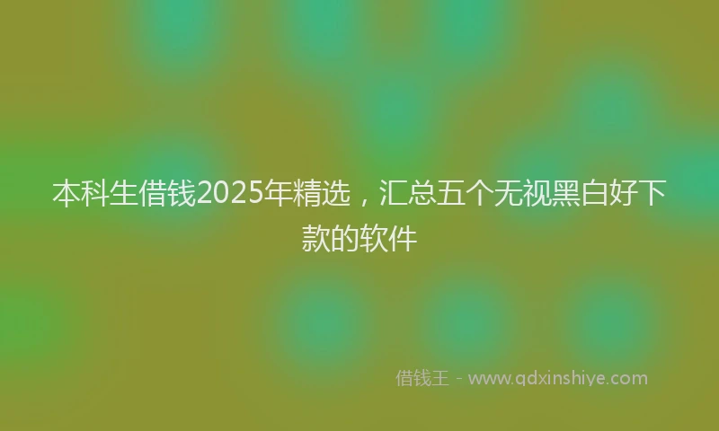 本科生借钱2025年精选，汇总五个无视黑白好下款的软件