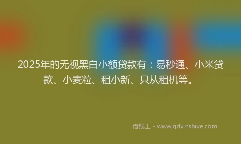 2025年的无视黑白小额贷款有：易秒通、小米贷款、小麦粒、租小新、只从租机等。