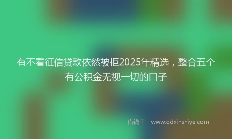 有不看征信贷款依然被拒2025年精选，整合五个有公积金无视一切的口子