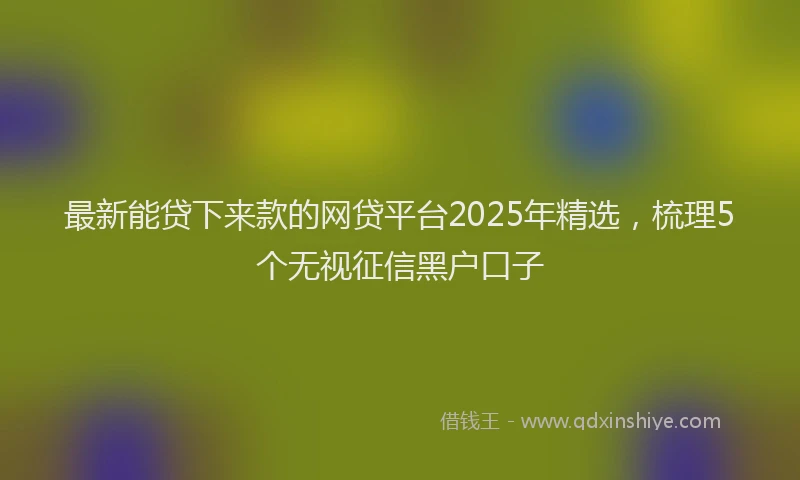 最新能贷下来款的网贷平台2025年精选，梳理5个无视征信黑户口子