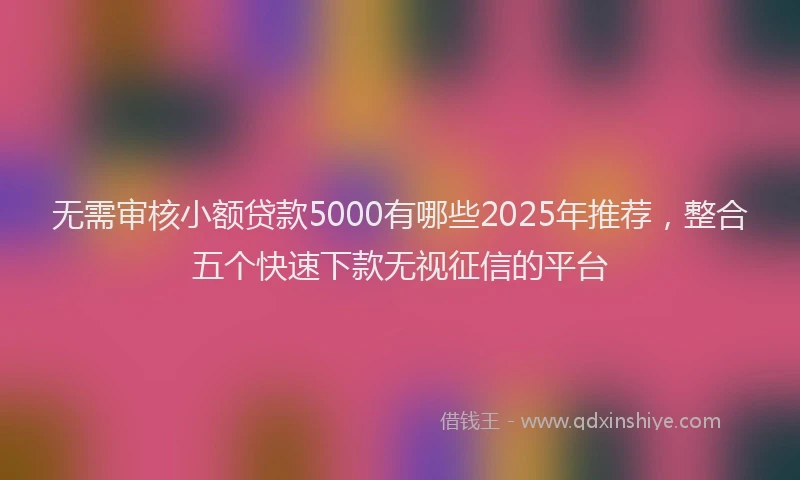 无需审核小额贷款5000有哪些2025年推荐，整合五个快速下款无视征信的平台