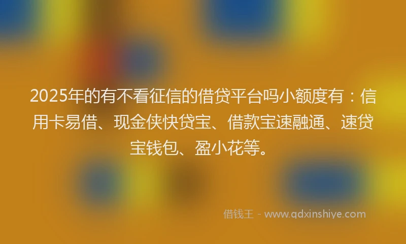 2025年的有不看征信的借贷平台吗小额度有：信用卡易借、现金侠快贷宝、借款宝速融通、速贷宝钱包、盈小花等。