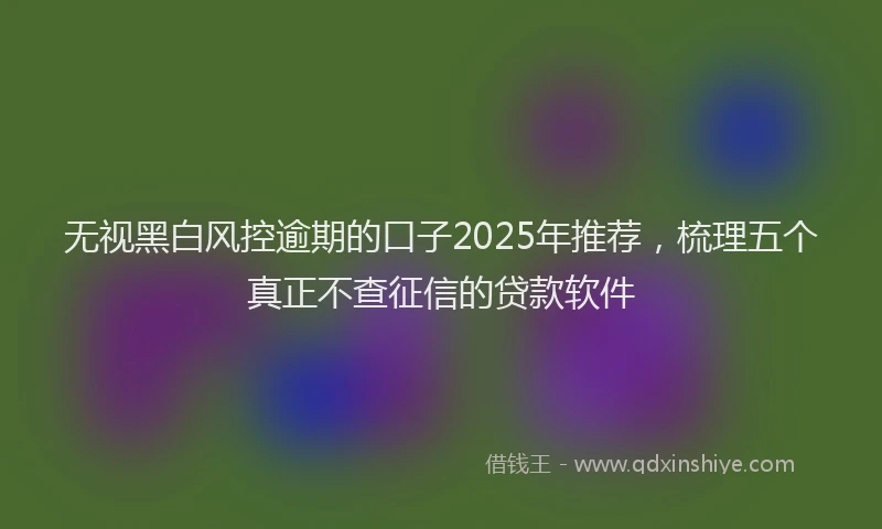 无视黑白风控逾期的口子2025年推荐，梳理五个真正不查征信的贷款软件