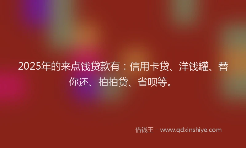 2025年的来点钱贷款有：信用卡贷、洋钱罐、替你还、拍拍贷、省呗等。