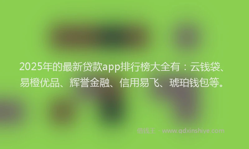 2025年的最新贷款app排行榜大全有：云钱袋、易橙优品、辉誉金融、信用易飞、琥珀钱包等。