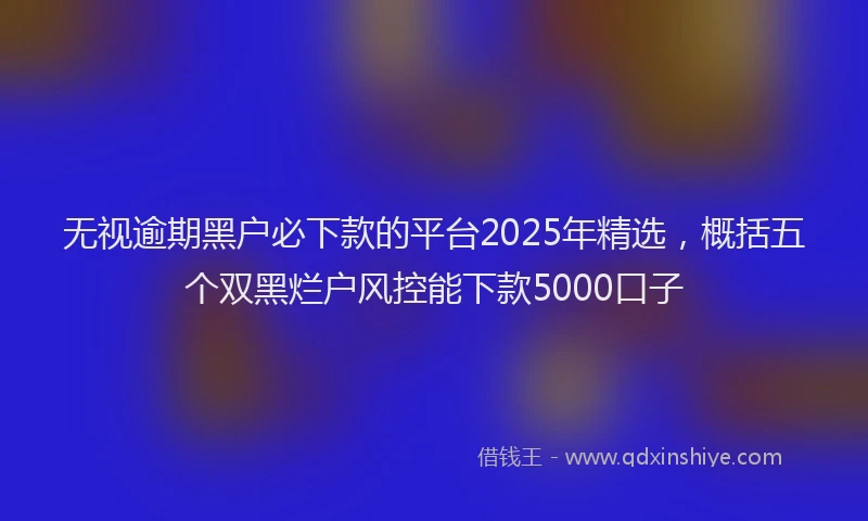 无视逾期黑户必下款的平台2025年精选，概括五个双黑烂户风控能下款5000口子