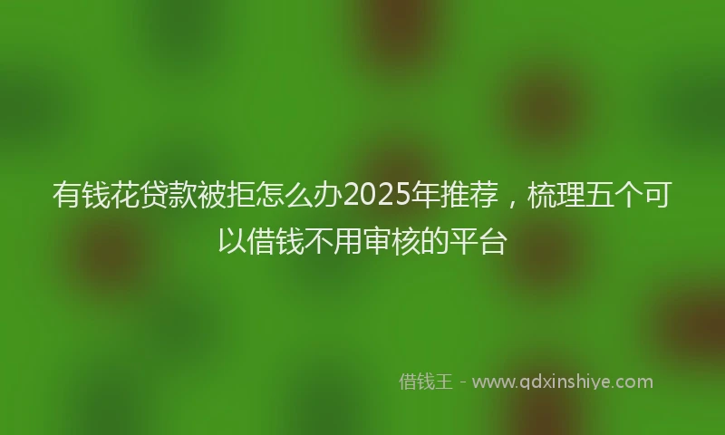有钱花贷款被拒怎么办2025年推荐，梳理五个可以借钱不用审核的平台