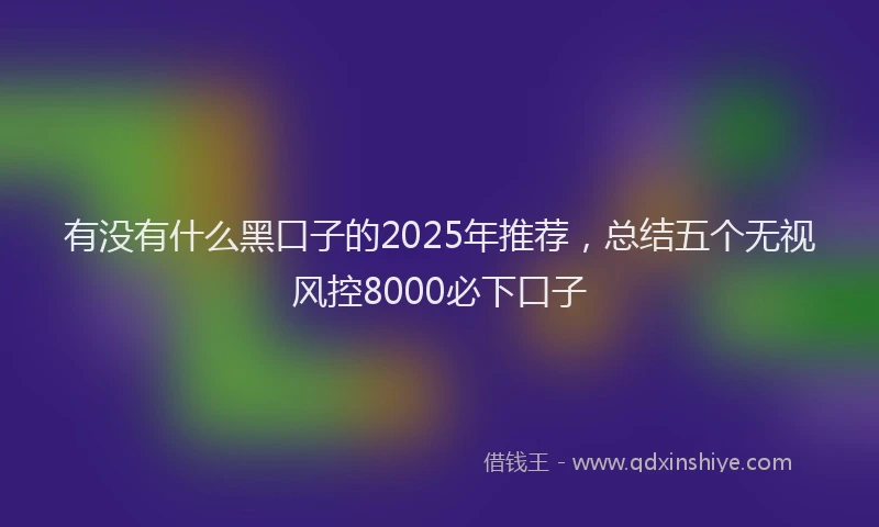 有没有什么黑口子的2025年推荐，总结五个无视风控8000必下口子