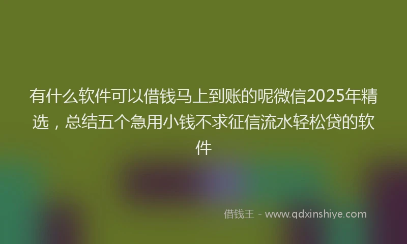 有什么软件可以借钱马上到账的呢微信2025年精选，总结五个急用小钱不求征信流水轻松贷的软件