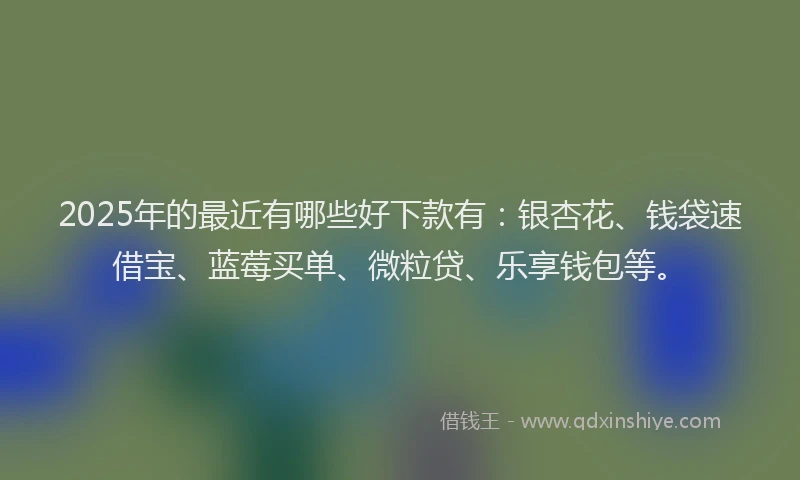 2025年的最近有哪些好下款有：银杏花、钱袋速借宝、蓝莓买单、微粒贷、乐享钱包等。