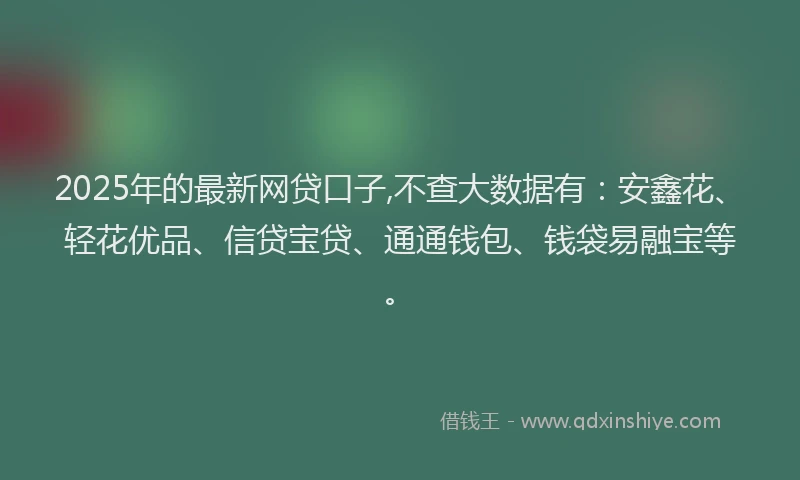 2025年的最新网贷口子,不查大数据有：安鑫花、轻花优品、信贷宝贷、通通钱包、钱袋易融宝等。