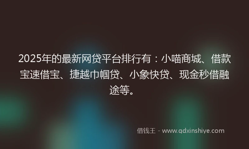 2025年的最新网贷平台排行有：小喵商城、借款宝速借宝、捷越巾帼贷、小象快贷、现金秒借融途等。
