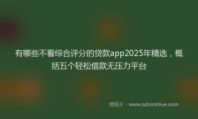 有哪些不看综合评分的贷款app2025年精选，概括五个轻松借款无压力平台