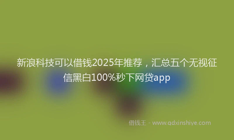 新浪科技可以借钱2025年推荐，汇总五个无视征信黑白100%秒下网贷app