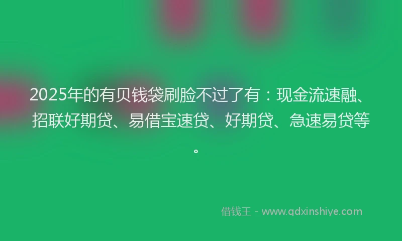 2025年的有贝钱袋刷脸不过了有：现金流速融、招联好期贷、易借宝速贷、好期贷、急速易贷等。