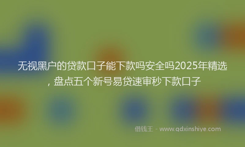 无视黑户的贷款口子能下款吗安全吗2025年精选，盘点五个新号易贷速审秒下款口子