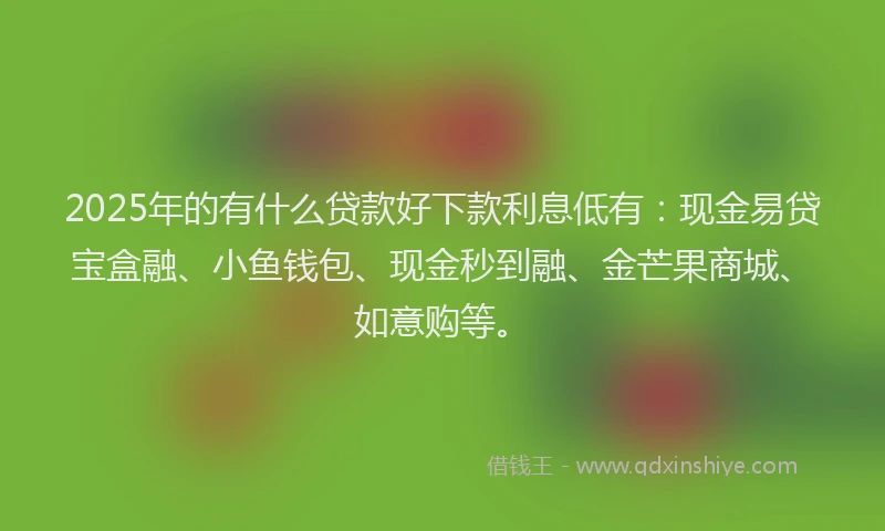 2025年的有什么贷款好下款利息低有：现金易贷宝盒融、小鱼钱包、现金秒到融、金芒果商城、如意购等。
