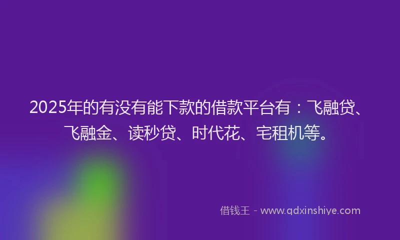 2025年的有没有能下款的借款平台有：飞融贷、飞融金、读秒贷、时代花、宅租机等。