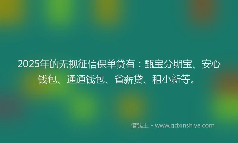 2025年的无视征信保单贷有：甄宝分期宝、安心钱包、通通钱包、省薪贷、租小新等。