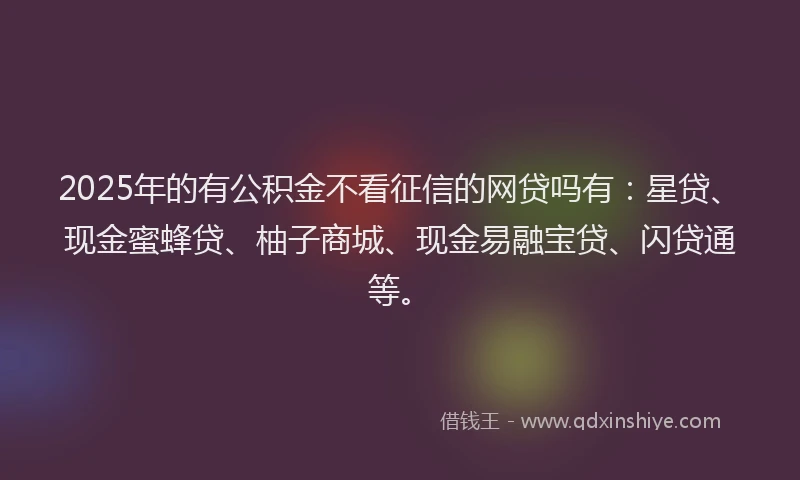 2025年的有公积金不看征信的网贷吗有：星贷、现金蜜蜂贷、柚子商城、现金易融宝贷、闪贷通等。