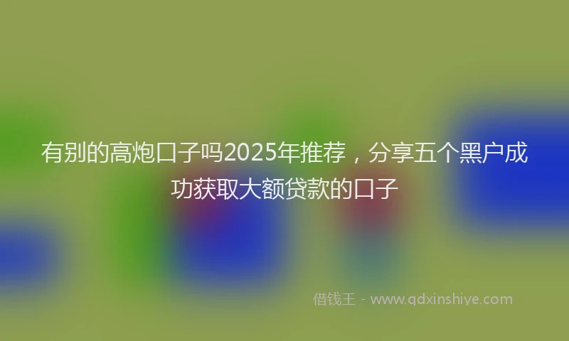 有别的高炮口子吗2025年推荐，分享五个黑户成功获取大额贷款的口子