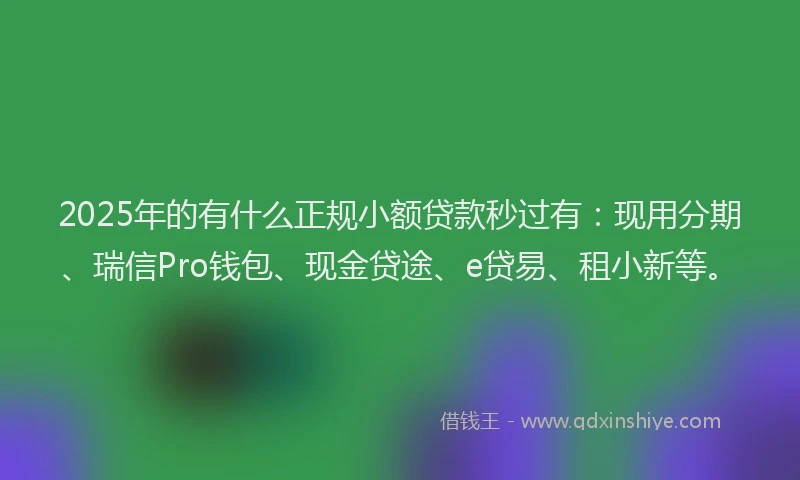2025年的有什么正规小额贷款秒过有：现用分期、瑞信Pro钱包、现金贷途、e贷易、租小新等。