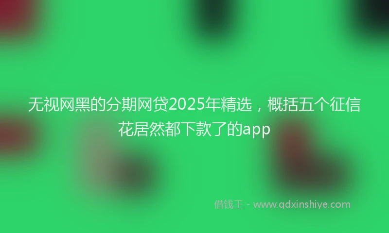 无视网黑的分期网贷2025年精选，概括五个征信花居然都下款了的app