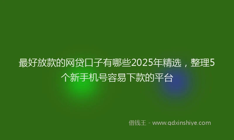 最好放款的网贷口子有哪些2025年精选，整理5个新手机号容易下款的平台