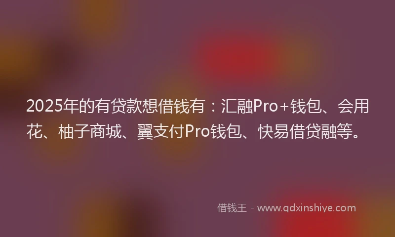 2025年的有贷款想借钱有：汇融Pro+钱包、会用花、柚子商城、翼支付Pro钱包、快易借贷融等。