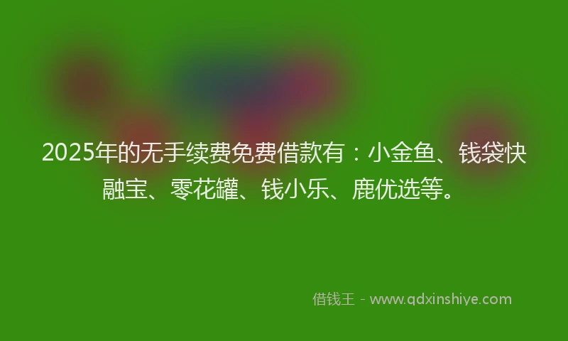 2025年的无手续费免费借款有：小金鱼、钱袋快融宝、零花罐、钱小乐、鹿优选等。