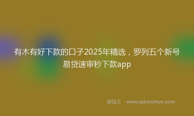有木有好下款的口子2025年精选，罗列五个新号易贷速审秒下款app