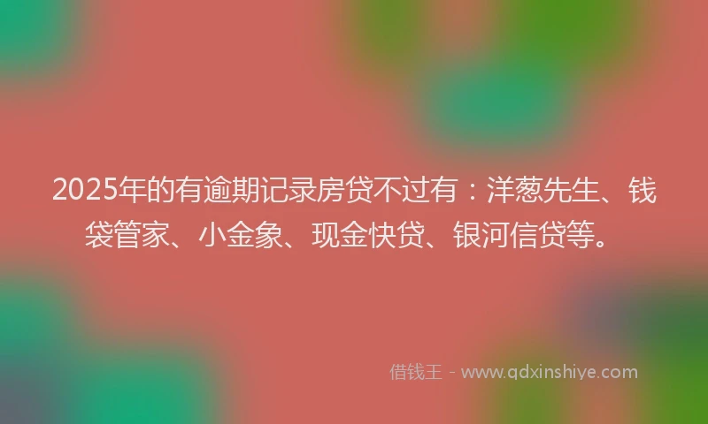 2025年的有逾期记录房贷不过有：洋葱先生、钱袋管家、小金象、现金快贷、银河信贷等。