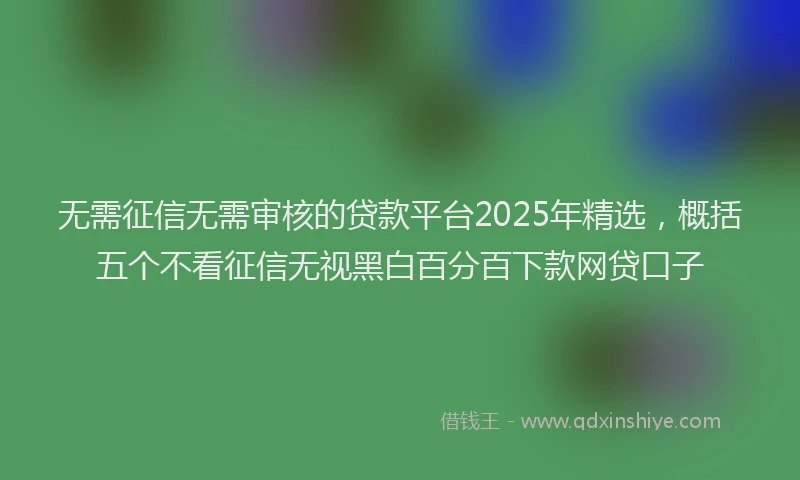 无需征信无需审核的贷款平台2025年精选，概括五个不看征信无视黑白百分百下款网贷口子