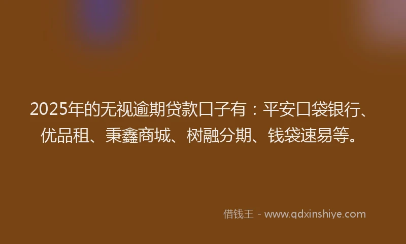 2025年的无视逾期贷款口子有：平安口袋银行、优品租、秉鑫商城、树融分期、钱袋速易等。